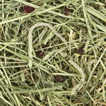 Kaytee Timothy Hay + Cranberries 24 oz