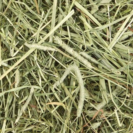 Kaytee Timothy Hay + Mint 24 oz