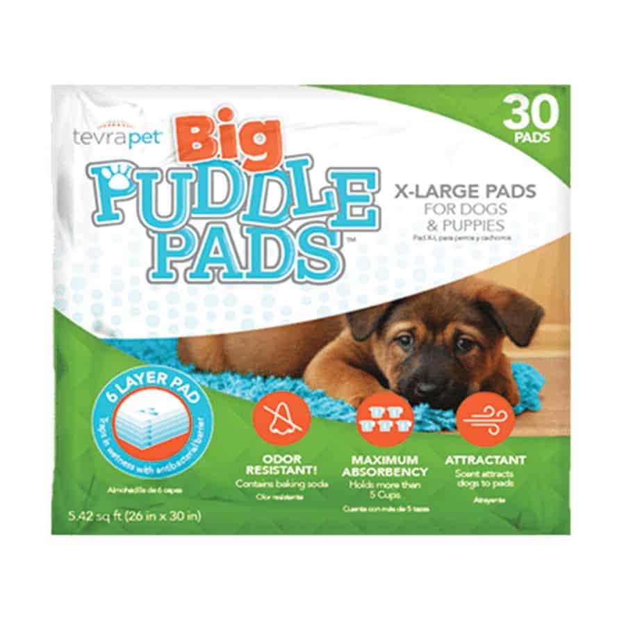 100 Large Puppy Training Pads – Highly Absorbent Disposable Pee Poo Mats For Dogs & Cats