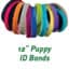 Puppy-ID-Bands-12