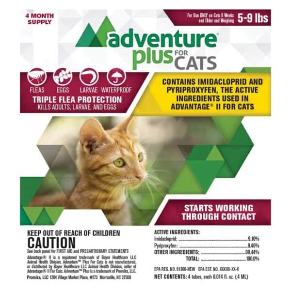 adventure-plus-cats-5-9