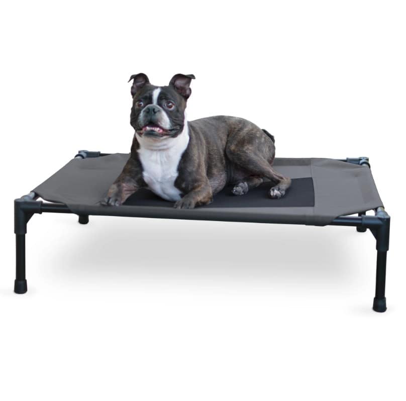 K&h elevated hot sale dog bed