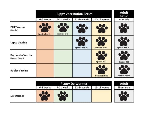 Dhp shops vaccine for dogs