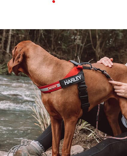 Julius K9 IDC Powerharness For Dogs – New Generation Blue – Made In Hungary