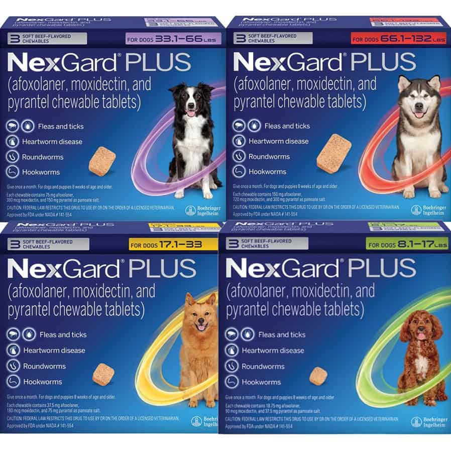 NexGard PLUS Chews for Dogs RX