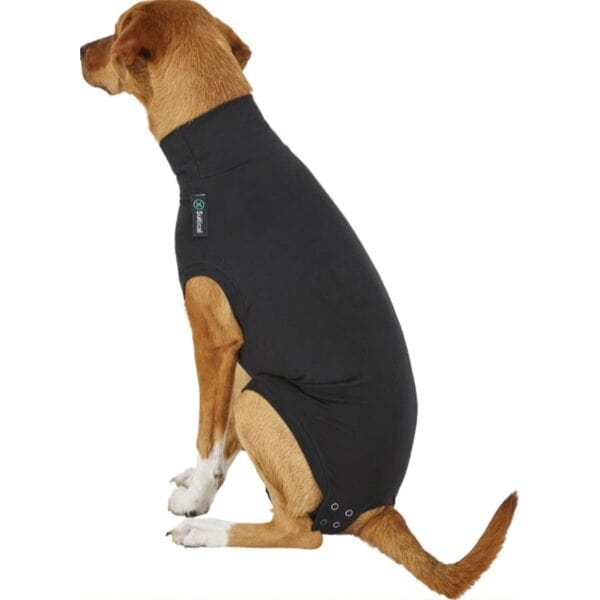 Suitical Recovery Suit for Dogs