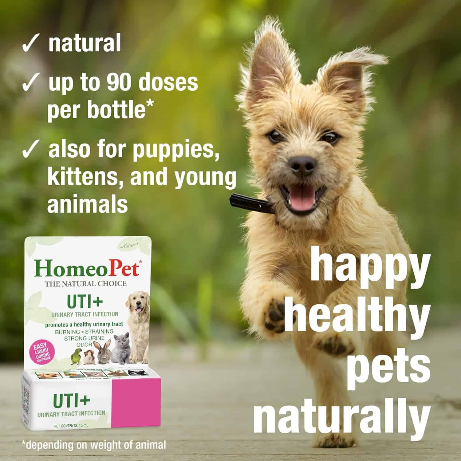 HomeoPet UTI+ Urinary Care Drops For Dogs, Cats & Other Pets - Expires 03/2026