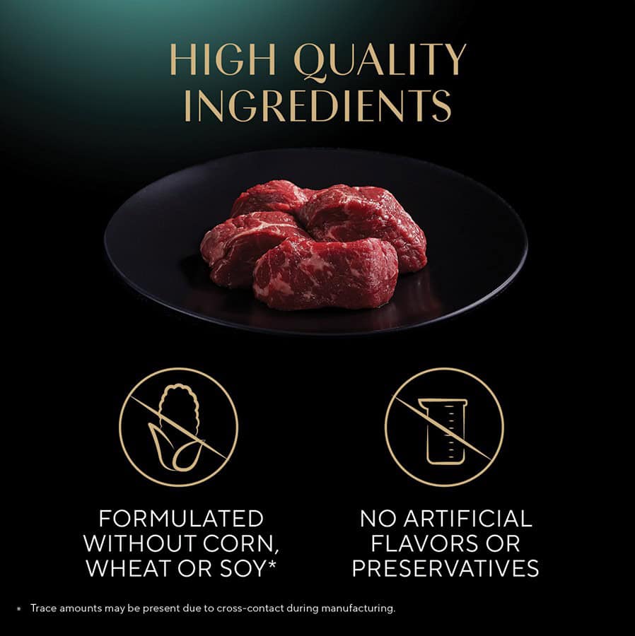SHEBA-PP-Pate-Beef-INFO