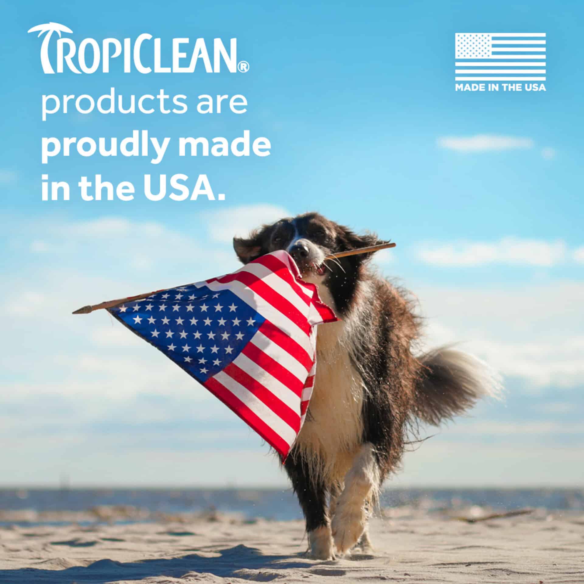 Tropiclean-Waterless-Shampoo-INFO3