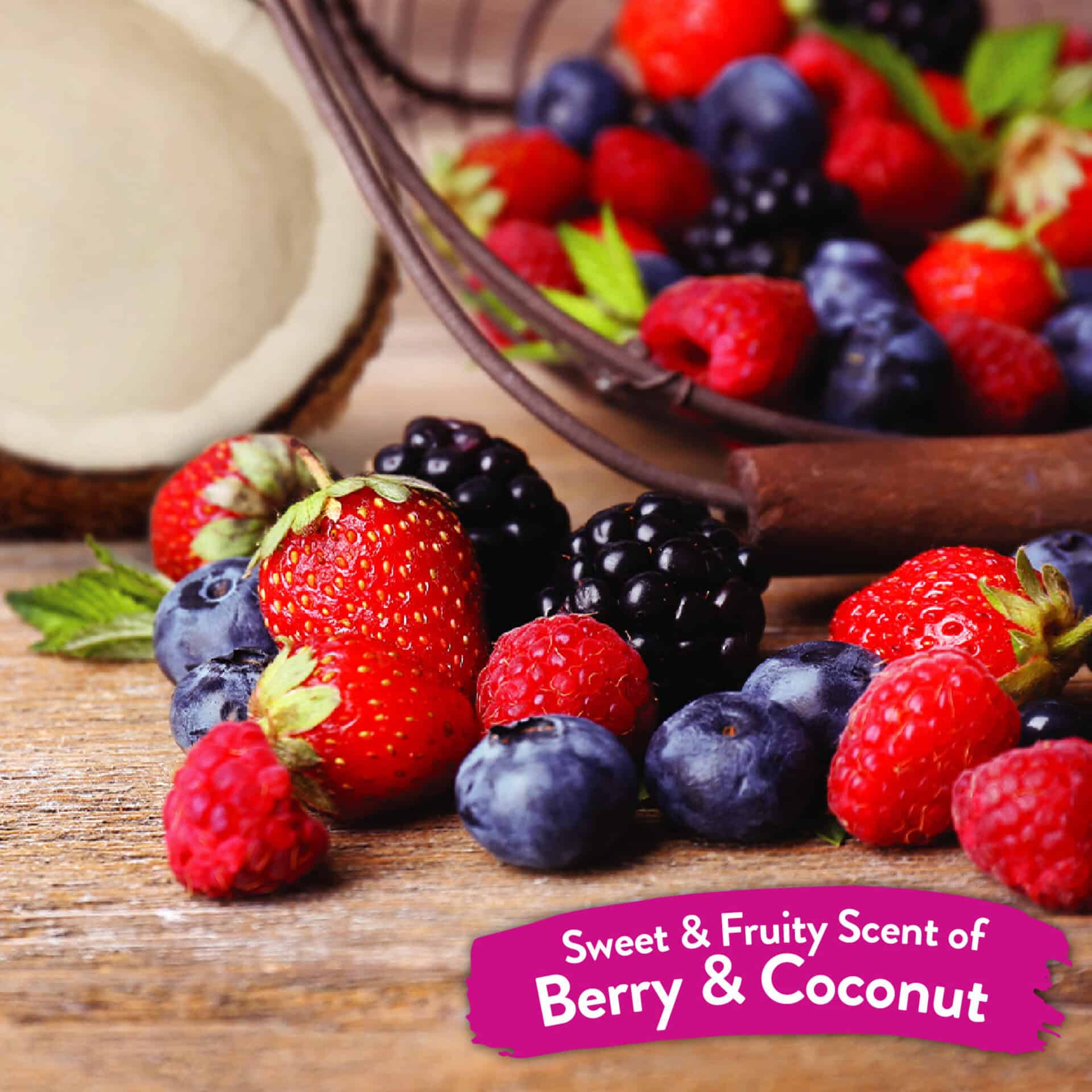 Tropiclean-Waterless-Shampoo-INFO5