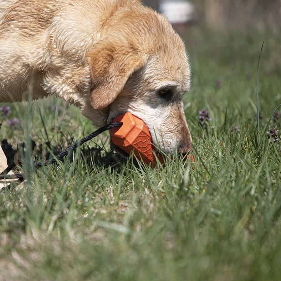 thumbnail image 2 of Momarsh Floating Dog Training Bumper - Durable EVA Dummy With Rope For Retriever Training 2 of 5