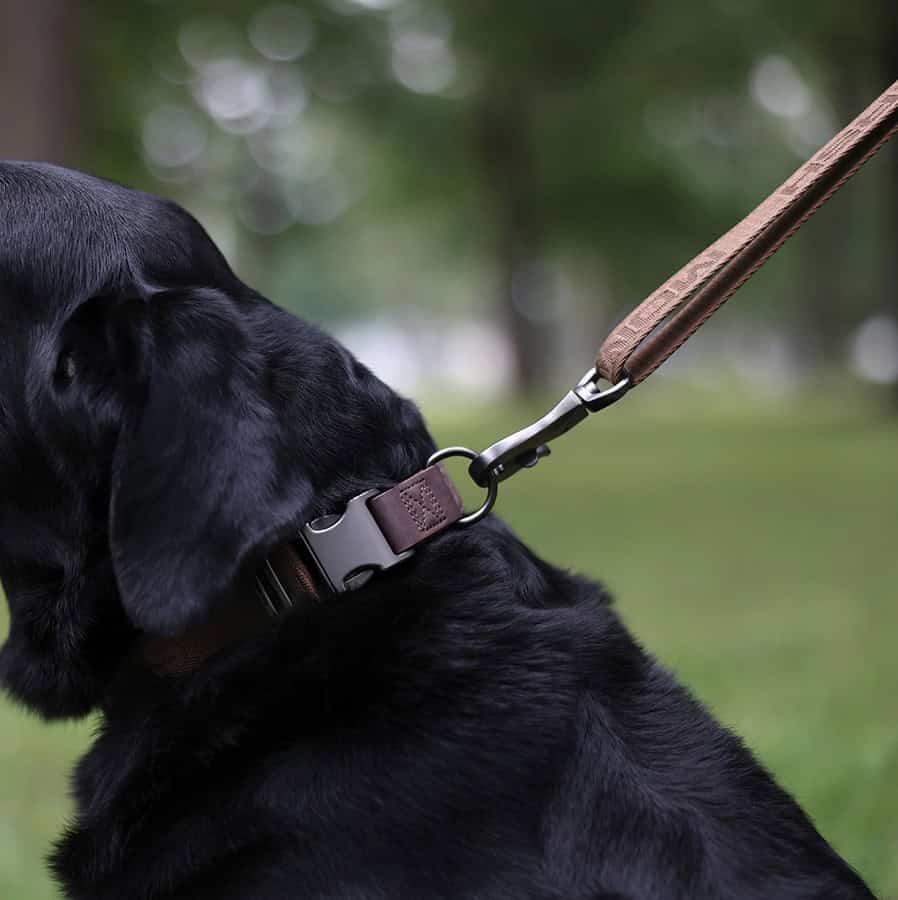 Brown-Leash-2