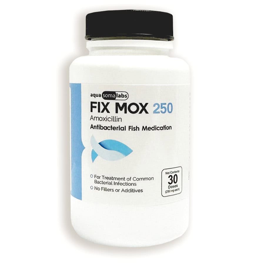 Fix-Mox-250-30