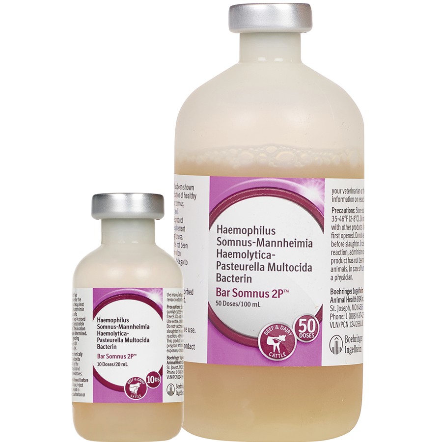 Bar Somnus 2P for Cattle