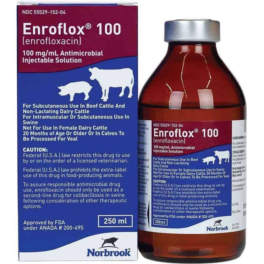 Enroflox 100 (enrofloxacin) Antimicrobial Inj RX