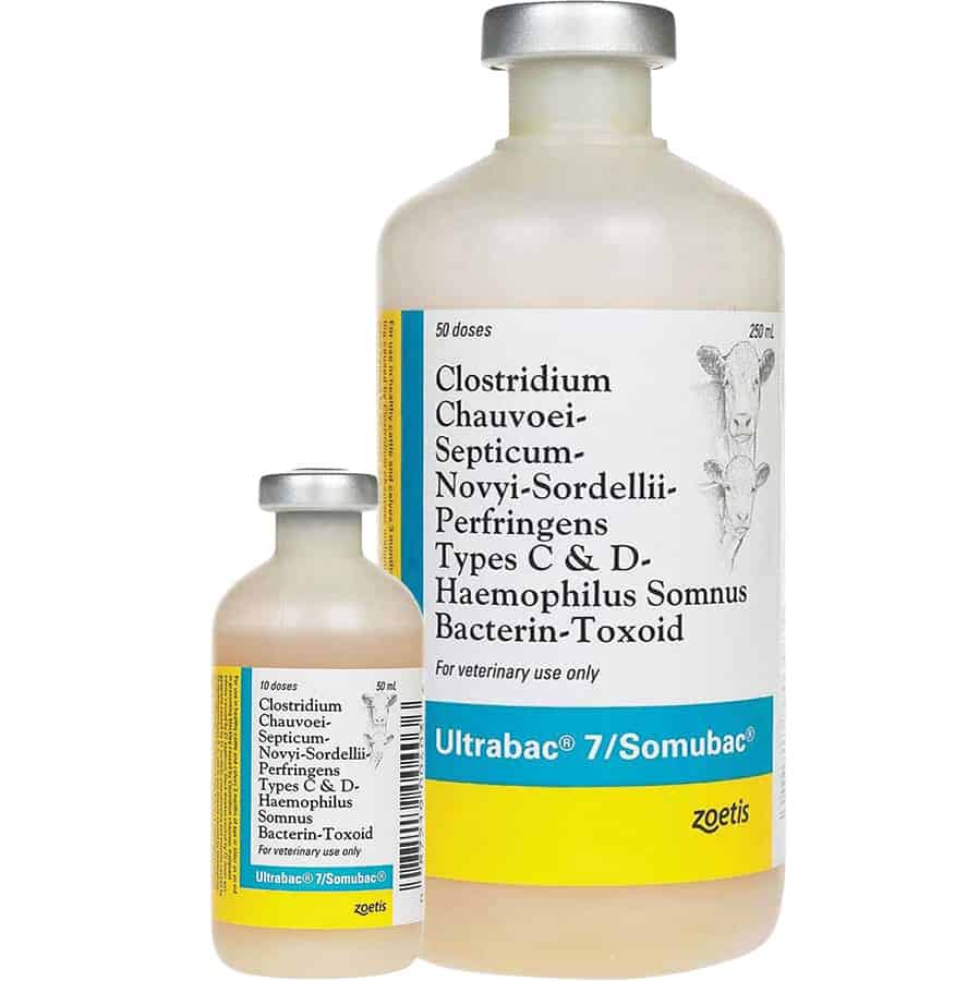 Ultrabac 7/Somubac Cattle Vaccine
