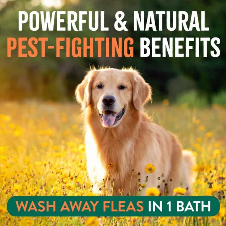 Tropiclean-Flea-Tick-Shampoo-Max-INFO2