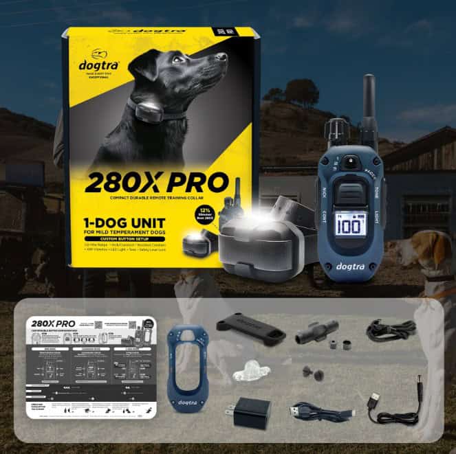 Dogtra-280X-INFO12