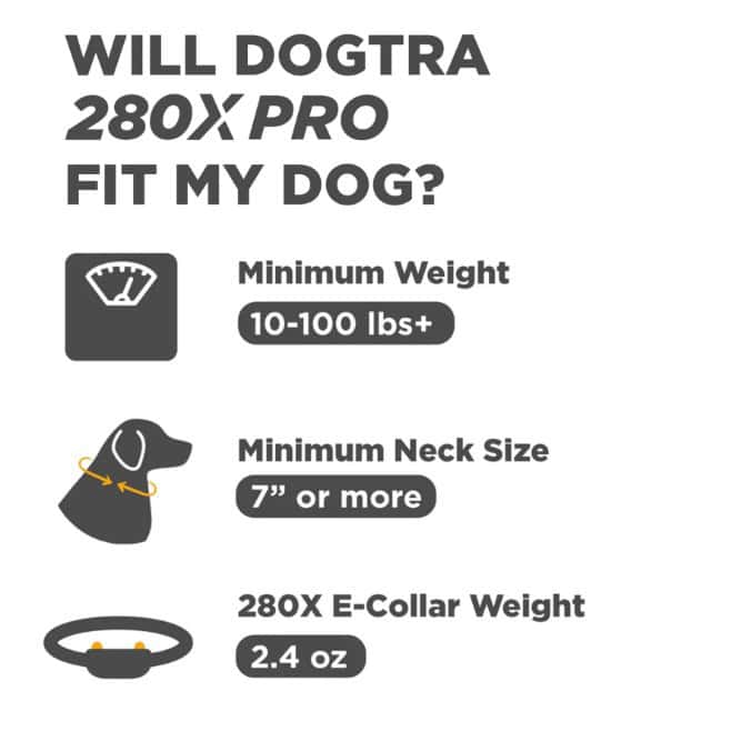 Dogtra-280X-INFO6