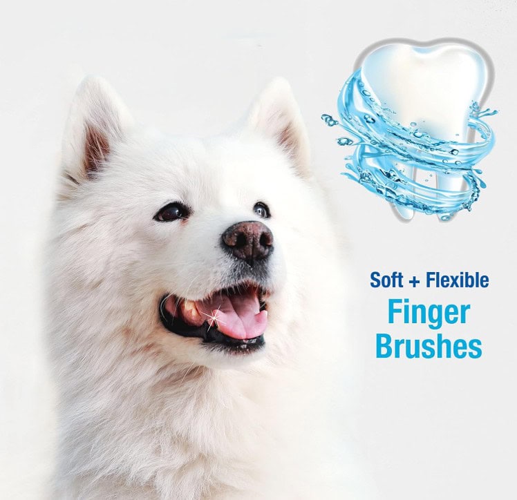Nylabone-Finger-Toothbrush-INFO3