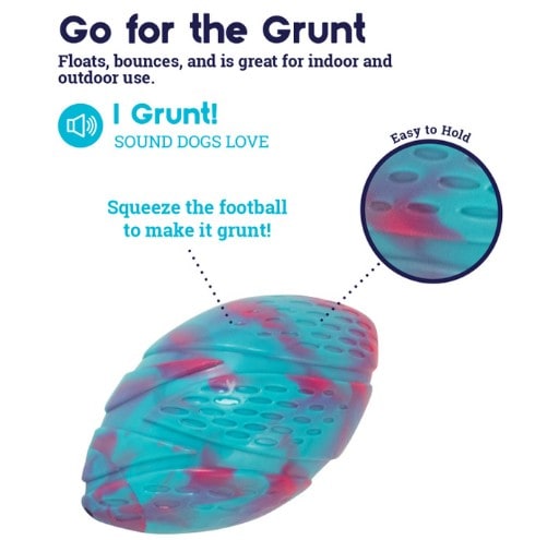 Petstages® Grunt N' Punt Football Dog Toy