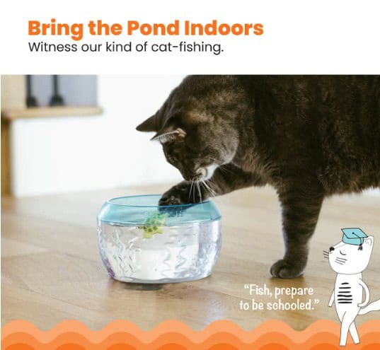 Meow-smerizing-Fish-Bowl-INFO