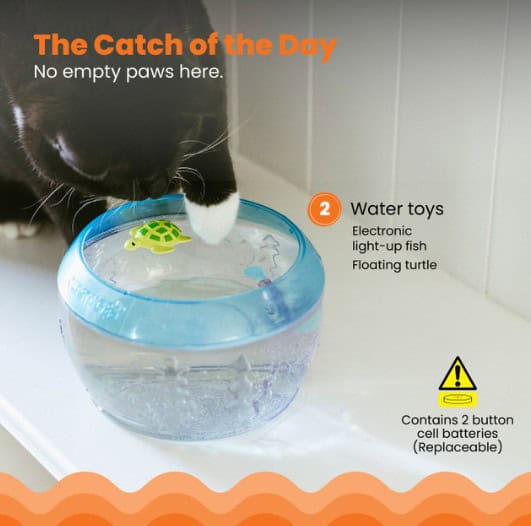 Meow-smerizing-Fish-Bowl-INFO2