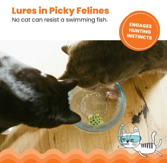 Meow-smerizing-Fish-Bowl-INFO3