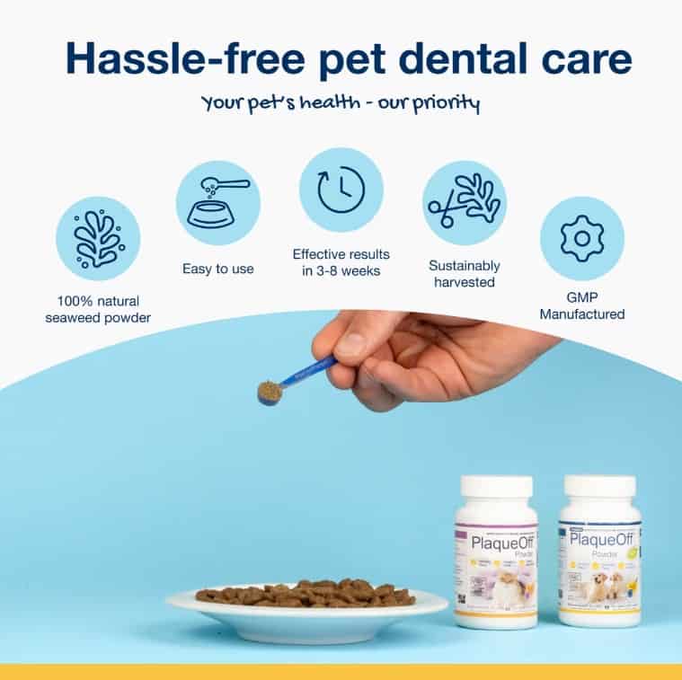 ProDen PlaqueOff® Powder Dental Supplement for Dogs & Cats 6.4 oz