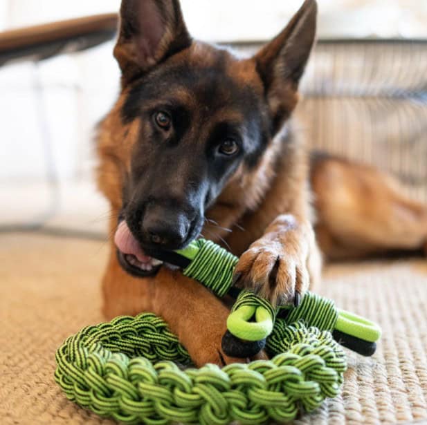Jolly Pets® Tik Tak Tugzz™ XL Rope Dog Toy
