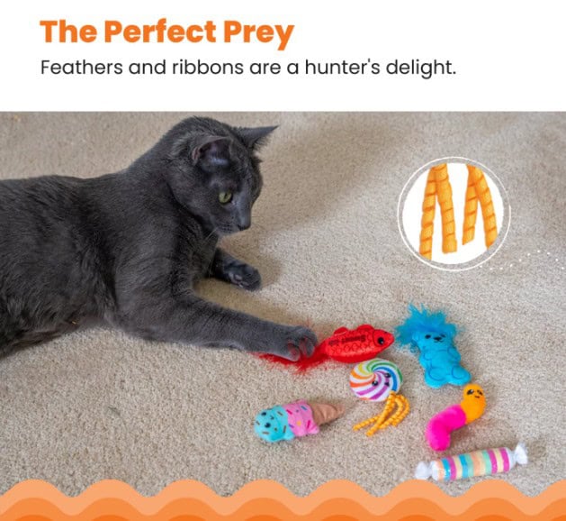 kitty-sweet-treats-6-info