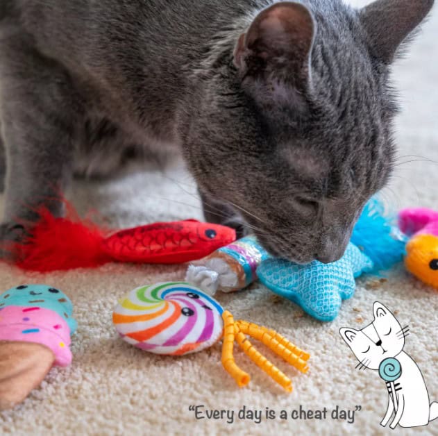 Catstages® Kitty Sweet Treats Catnip Cat Toy 6-Pack