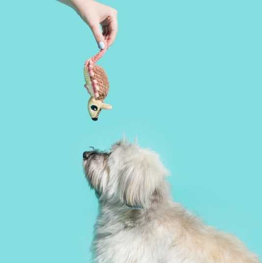 BARK-Armie-Dillo-XS-INFO