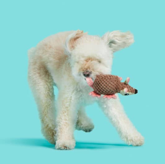 BARK-Armie-Dillo-XS-INFO2