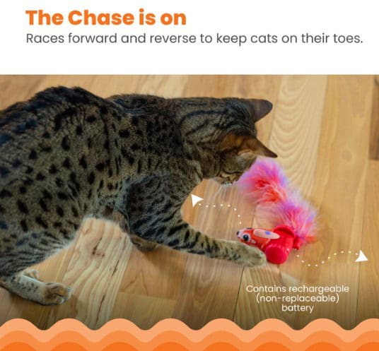 Catstages Racin Squirrel Robot Cat Toy
