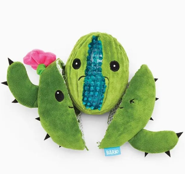 BARK® Consuela the Cactus 2-in-1 Interactive Dog Toy