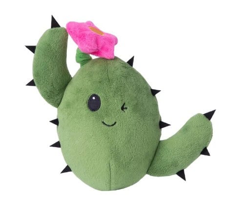 Consuela-Cactus
