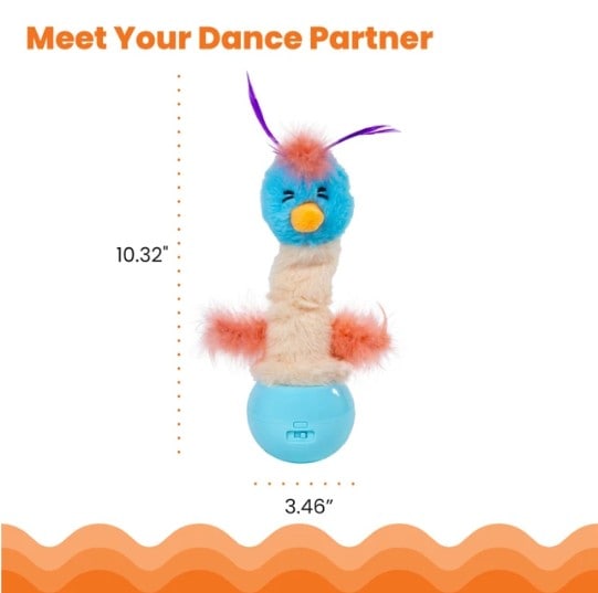Dancing-Ostrich-INFO3