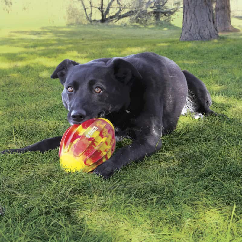 kong-flexball-sport-football-info3