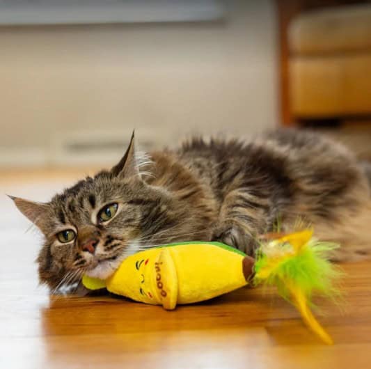 Catstages® Peelin' Good Banana Kicker Dental Catnip Toy