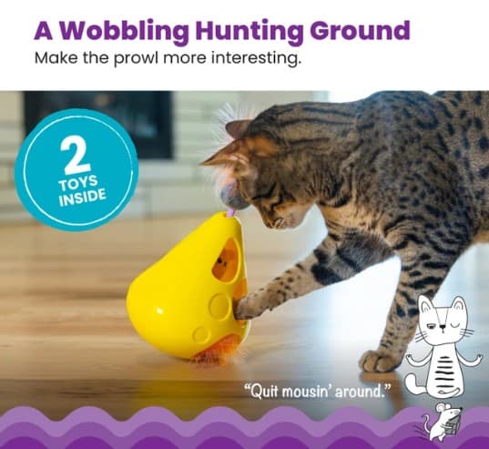 Mousin-Around-Wobble-Wedge-INFO2