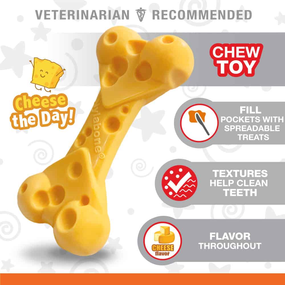 Nylabone-Cheese-Chew-Toy-INFO2