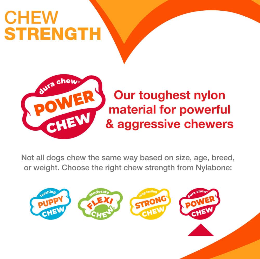 Nylabone-Cheese-Chew-Toy-INFO3