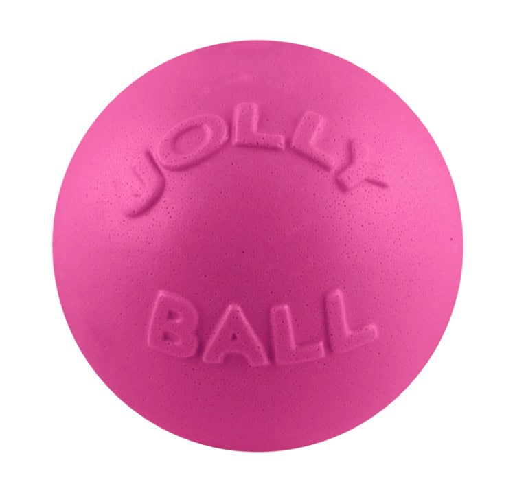 Jolly Pets® Bounce-n-Play Dog Ball