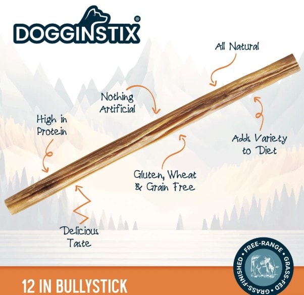 DogginStix-Bully-12-inch-INFO