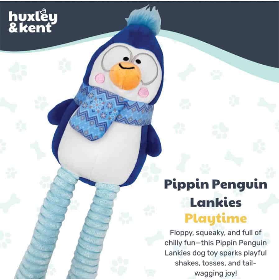 HK-Penguin-INFO2
