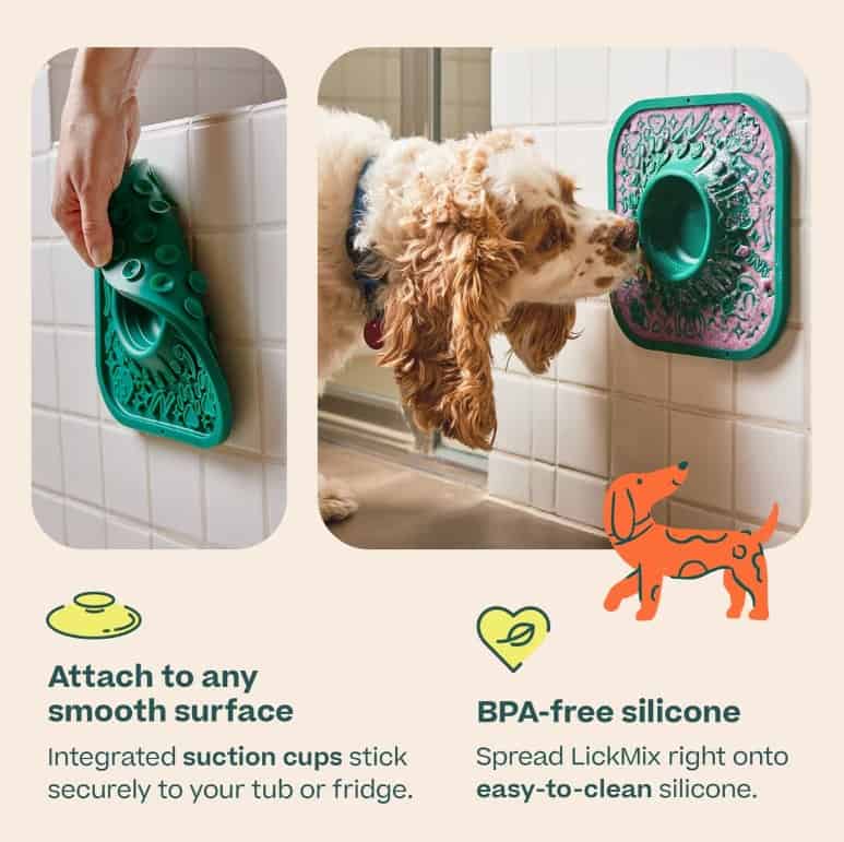 LickMat-Green-INFO4