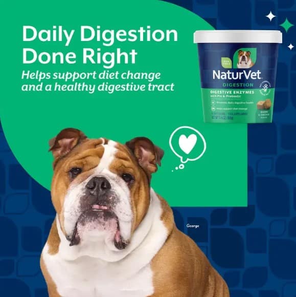 NautrVet-Digestive-Enzymes-info2