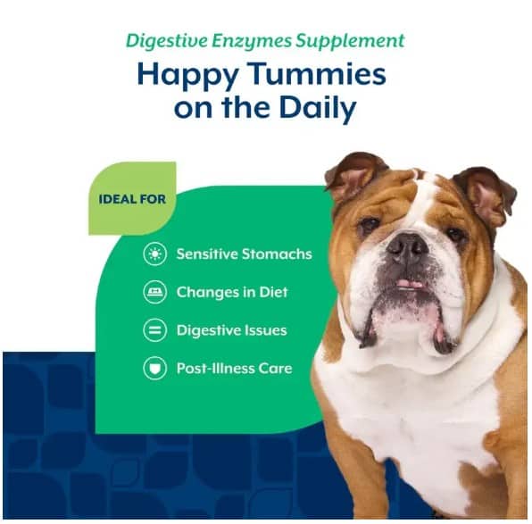 NautrVet-Digestive-Enzymes-info3