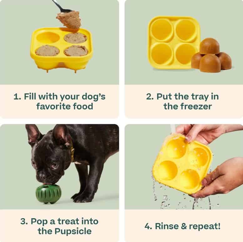 Pupsicle-Tray-INFO3